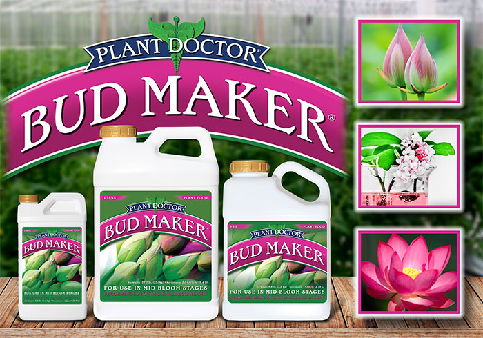 Bud Maker Landing1