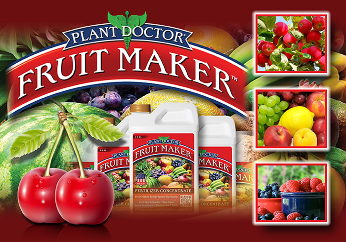 Fruit Maker Landing1