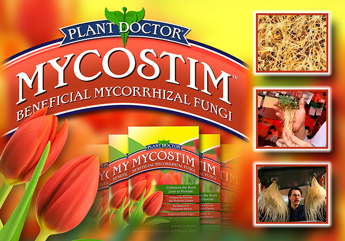Mycostim Indoor Landing