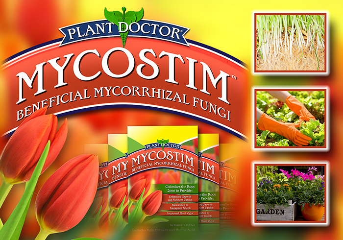 Mycostim Landing2