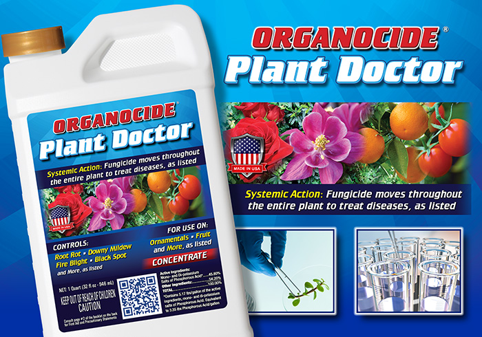 Plant Doctor Landing 1
