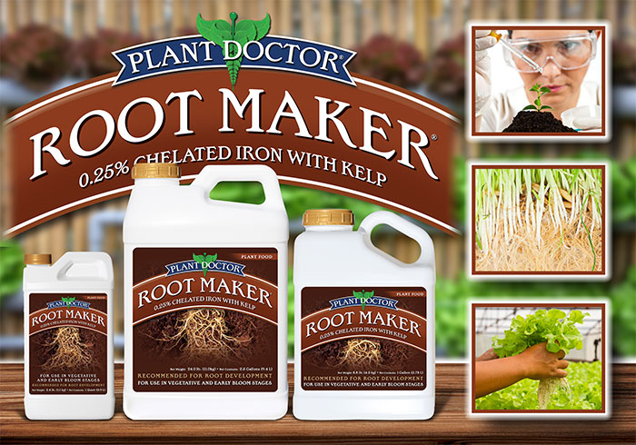 Root Maker Landing1