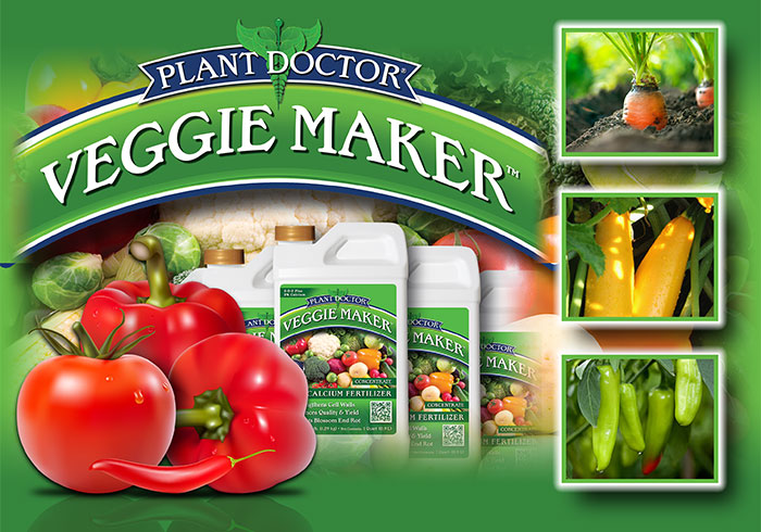 Veggie Maker Landing1
